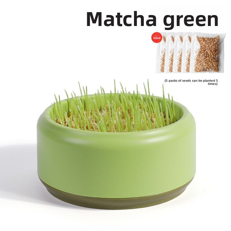 Cat Grass Hydroponic Growing Box
