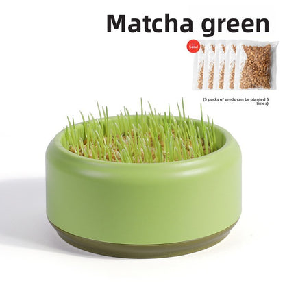 Cat Grass Hydroponic Growing Box