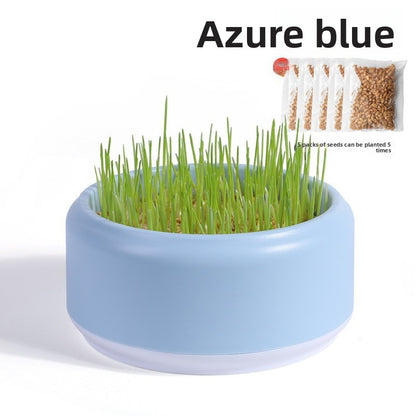 Cat Grass Hydroponic Growing Box