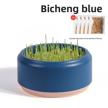 Cat Grass Hydroponic Growing Box