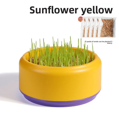 Cat Grass Hydroponic Growing Box