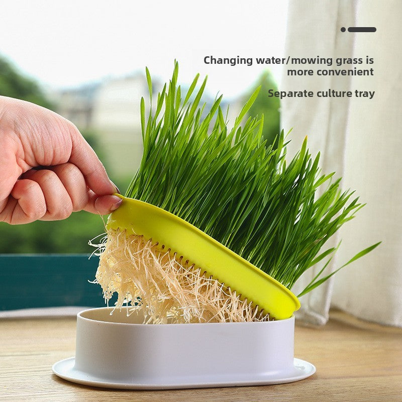 Cat Grass Hydroponic Growing Box