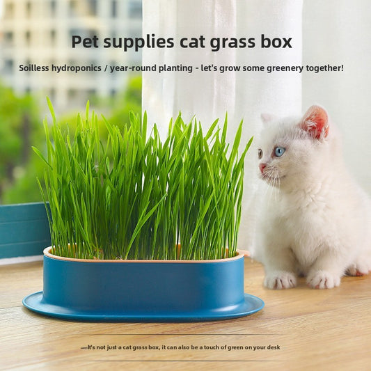 Cat Grass Hydroponic Growing Box